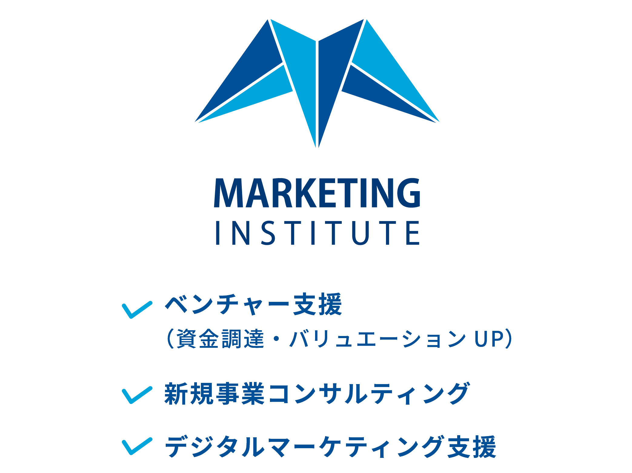 ベンチャー支援（資金調達・バリュエーションUPへ変更）,新規事業コンサルティング,デジタルマーケティング支援